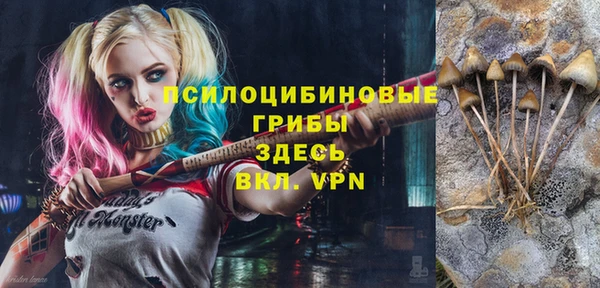 ГАЛЛЮЦИНОГЕННЫЕ ГРИБЫ Белокуриха