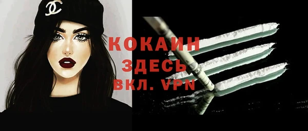 ГАЛЛЮЦИНОГЕННЫЕ ГРИБЫ Белокуриха