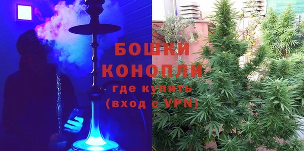 ГАЛЛЮЦИНОГЕННЫЕ ГРИБЫ Белокуриха